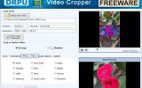 Download Freeware Video Cropping Tool screenshot