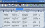CSV Editor Pro screenshot