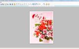 Free Greeting Cards Online screenshot