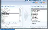 Microsoft SQL Database Migration Program screenshot