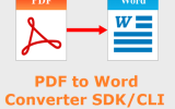 VeryUtils PDF to Word Converter SDK CLI screenshot