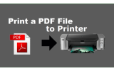 VeryUtils PDF to Printer Command Line screenshot