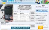 BlackBerry Bulk SMS Software screenshot