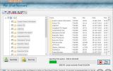 Software for USB Drive Revival screenshot